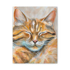 The Sleepy Cat | Canvas Print