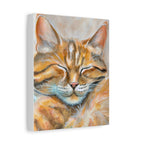 The Sleepy Cat | Canvas Print
