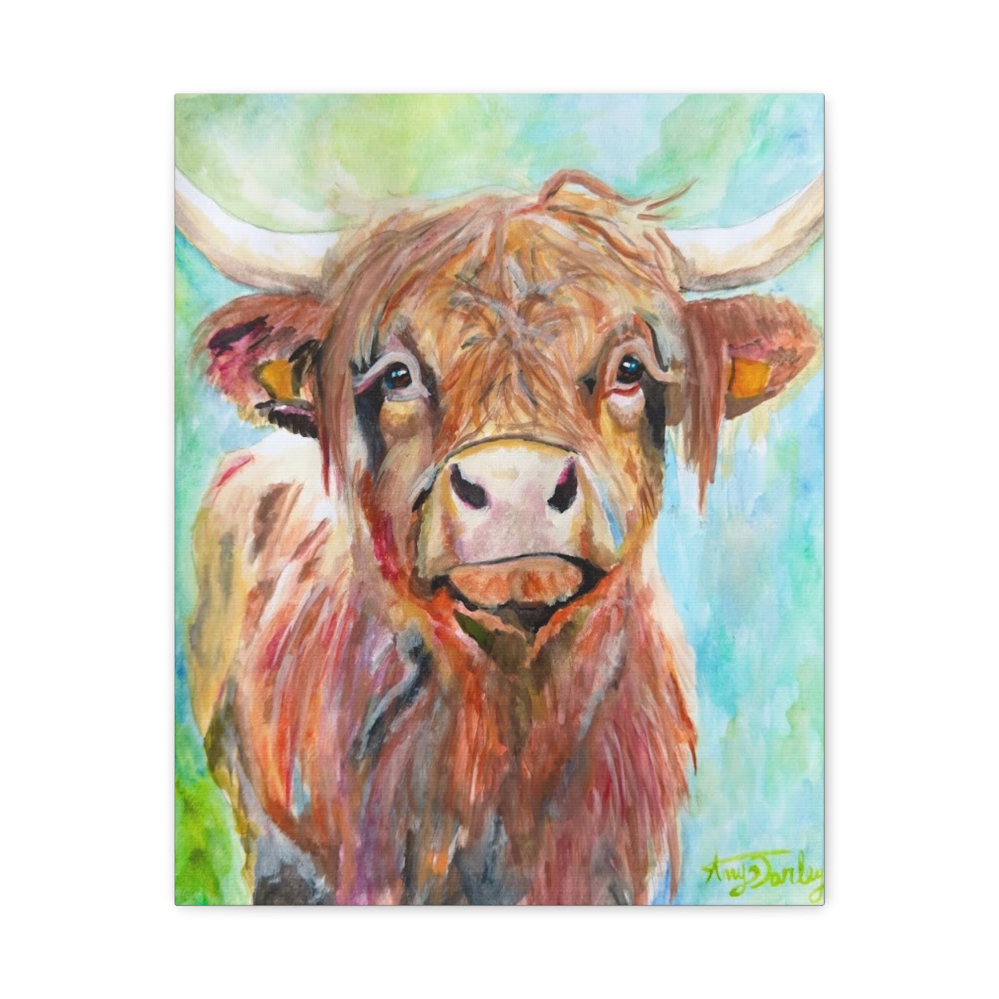 Highland Cow | Canvas Print