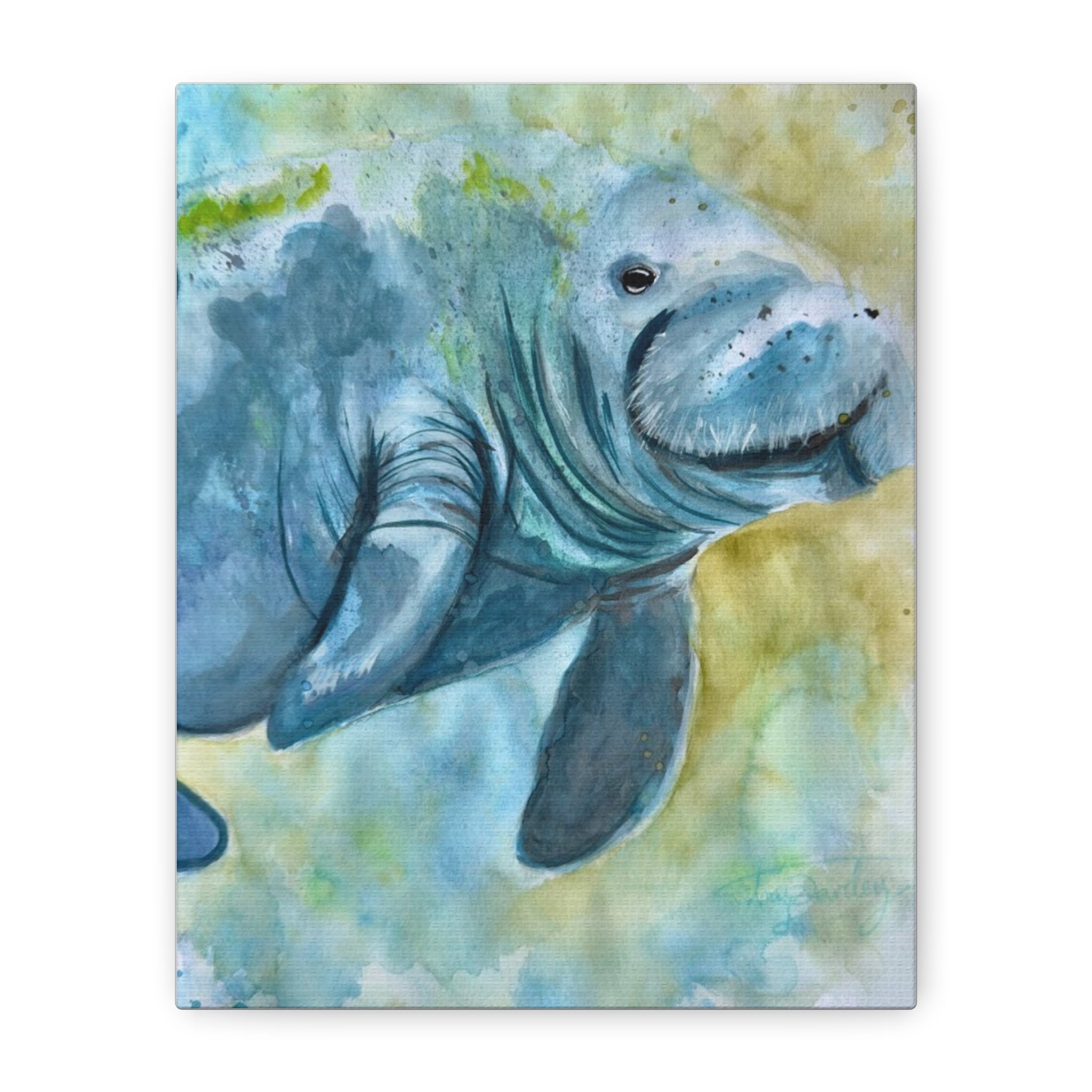 The Manatee | Canvas Print