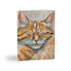 Sleepy Cat | Greeting Cards (8, 16, and 24 pcs)