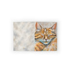 Sleepy Cat | Greeting Cards (8, 16, and 24 pcs)