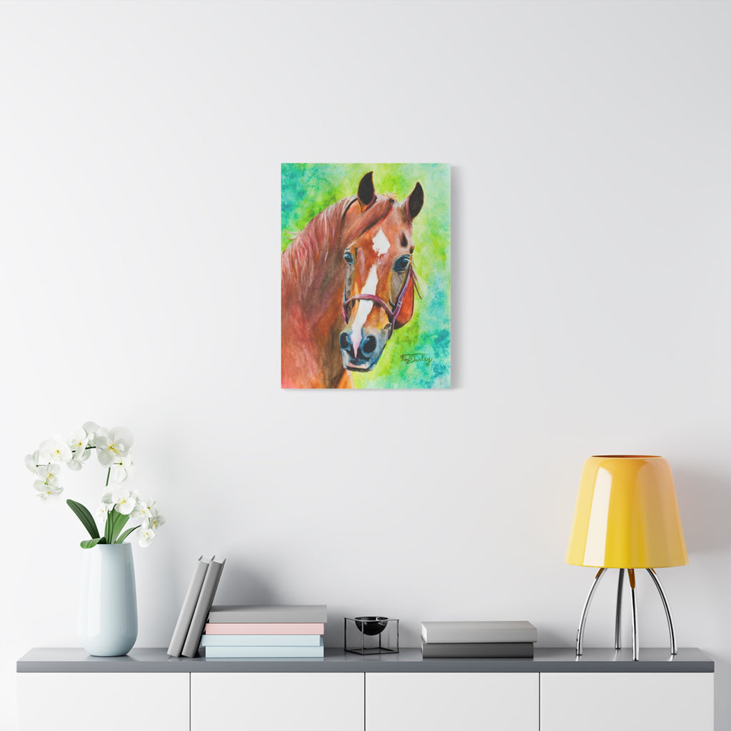 Chestnut Horse | Canvas Print