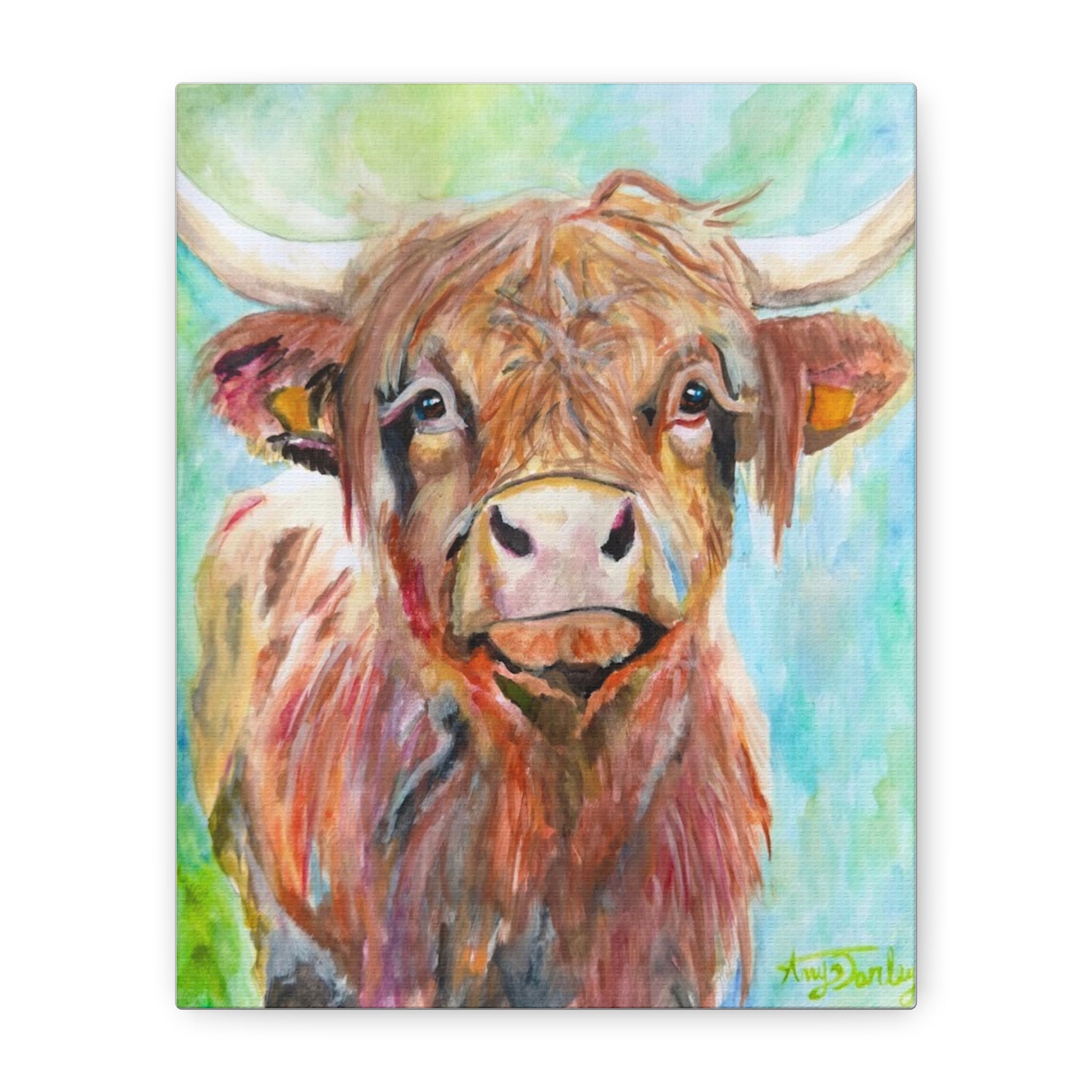Highland Cow | Canvas Print