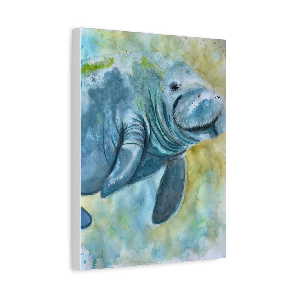 The Manatee | Canvas Print