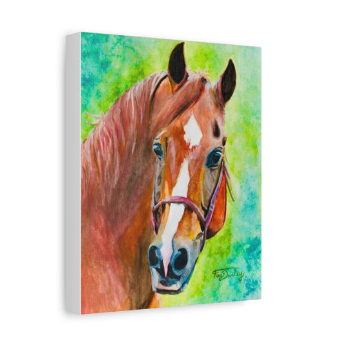 Chestnut Horse | Canvas Print