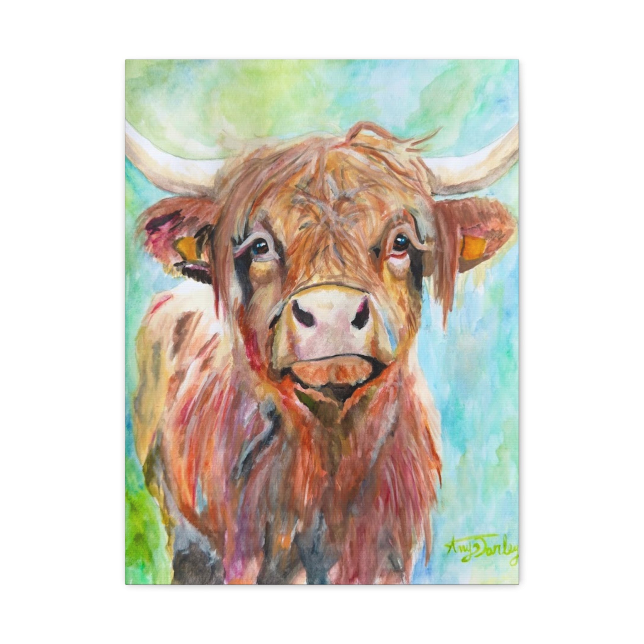 Highland Cow | Canvas Print