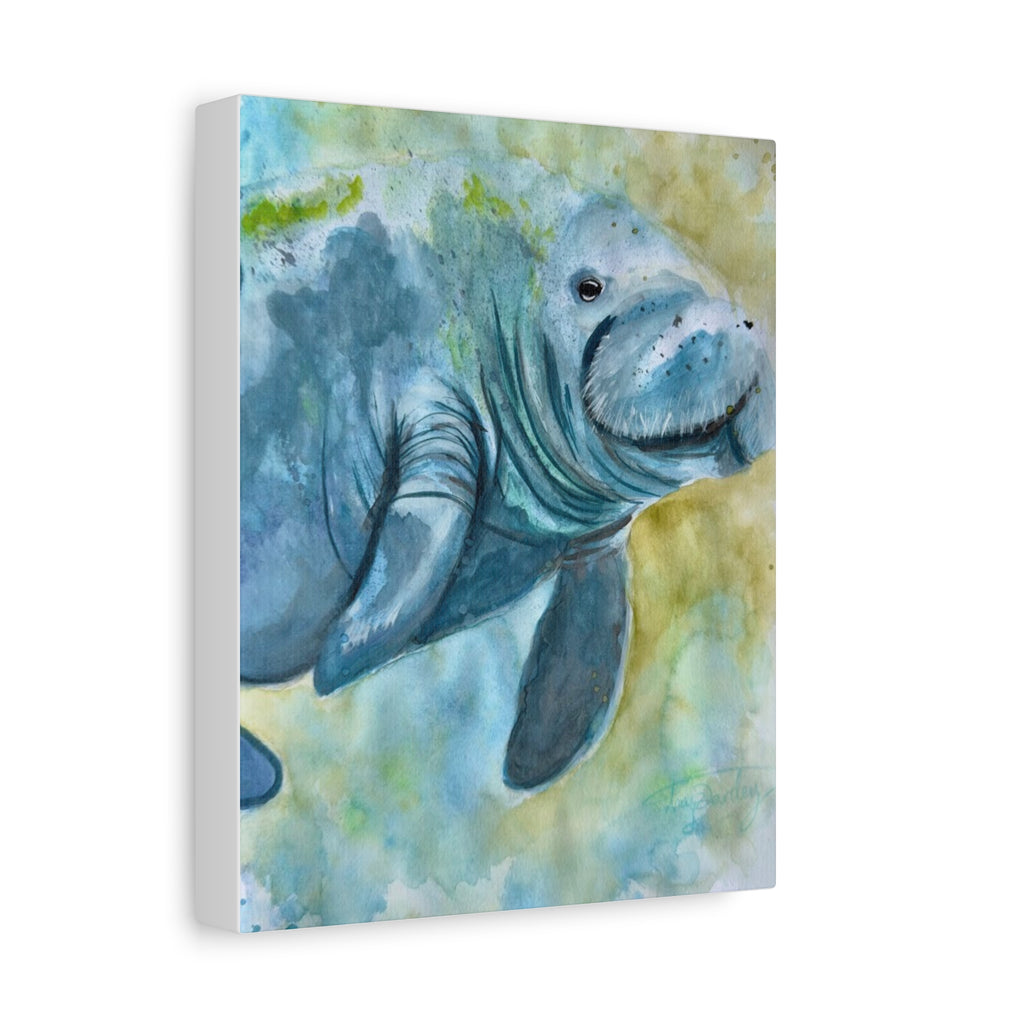The Manatee | Canvas Print