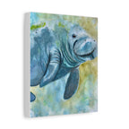 The Manatee | Canvas Print