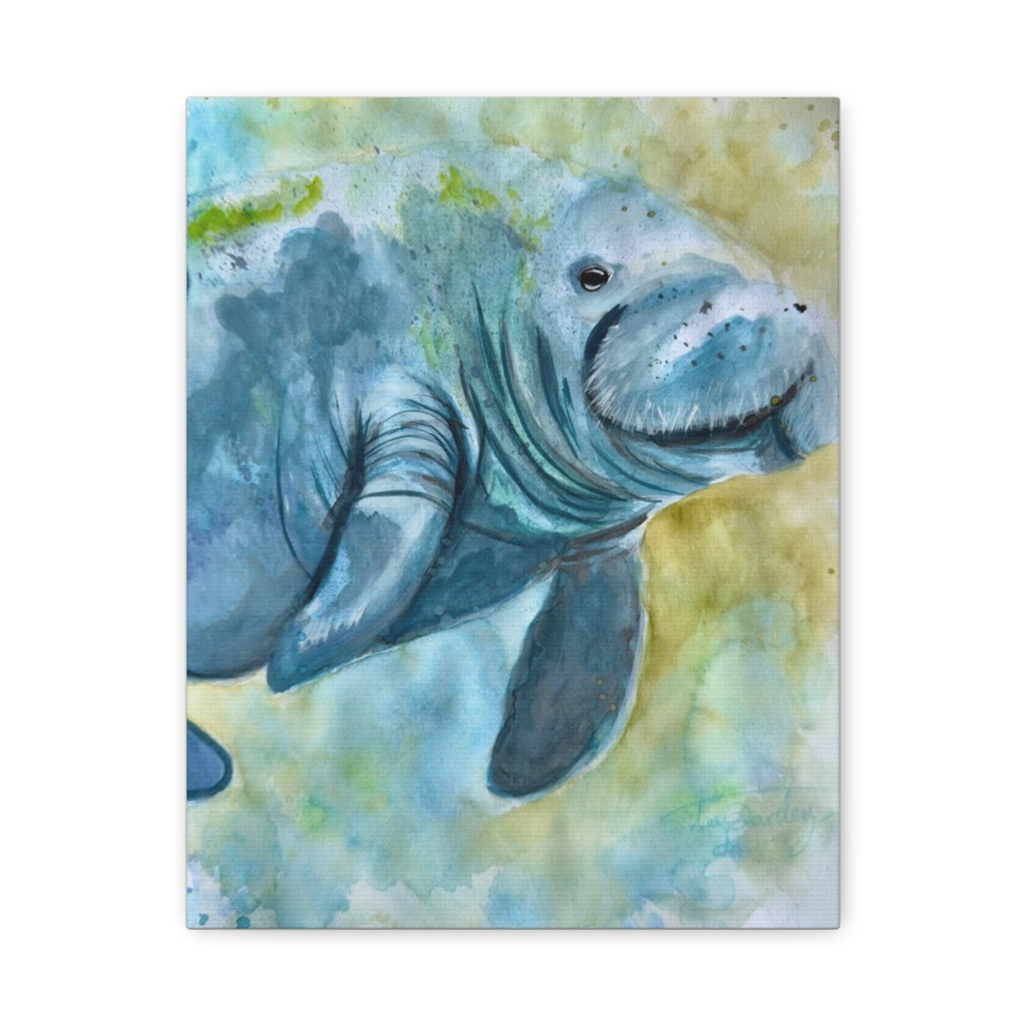 The Manatee | Canvas Print