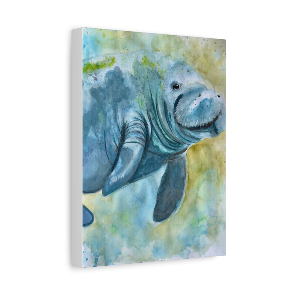 The Manatee | Canvas Print