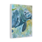 The Manatee | Canvas Print
