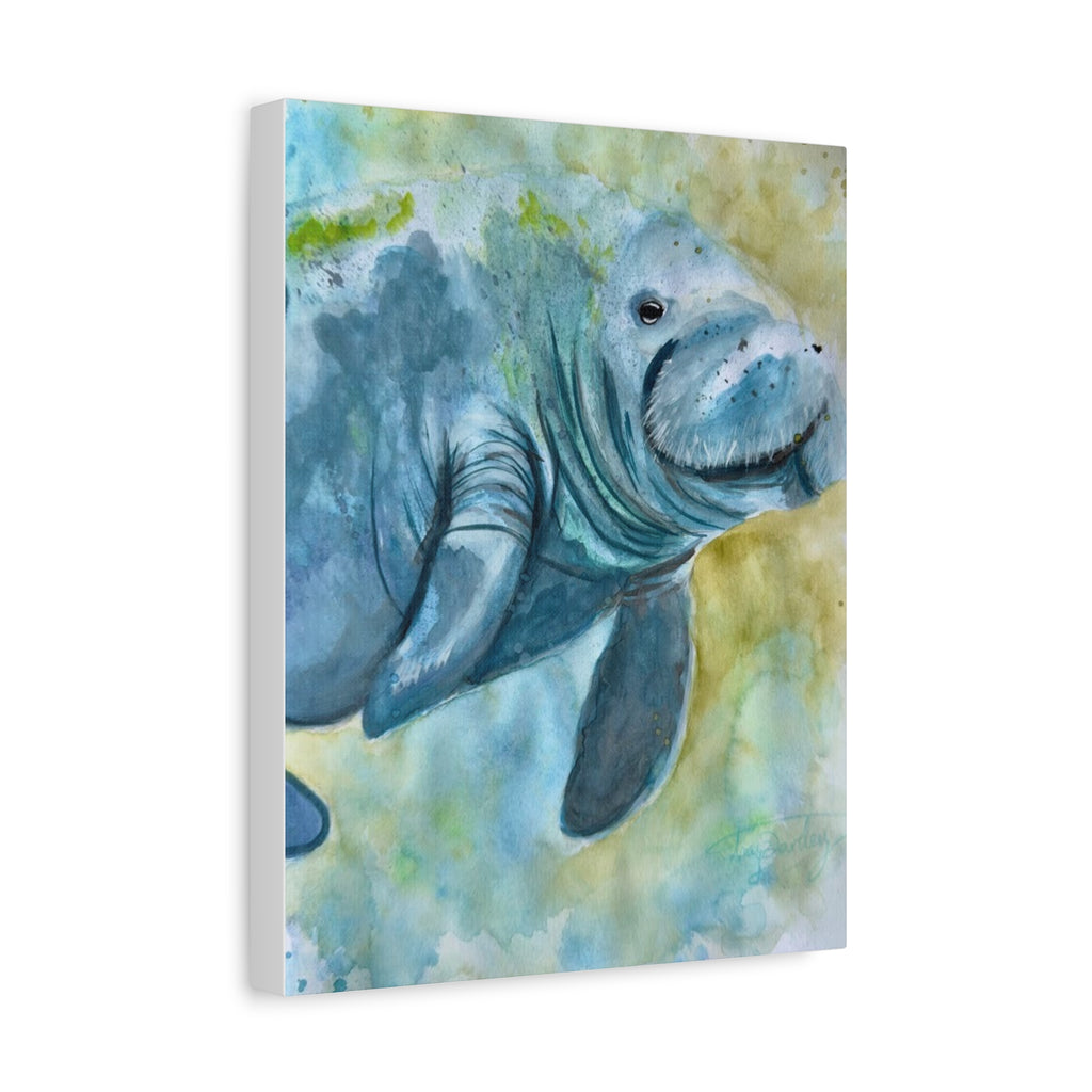 The Manatee | Canvas Print