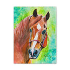 Chestnut Horse | Canvas Print
