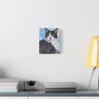 Moose the Tuxedo Cat | Canvas Print