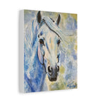 Blue Horse | Canvas Print