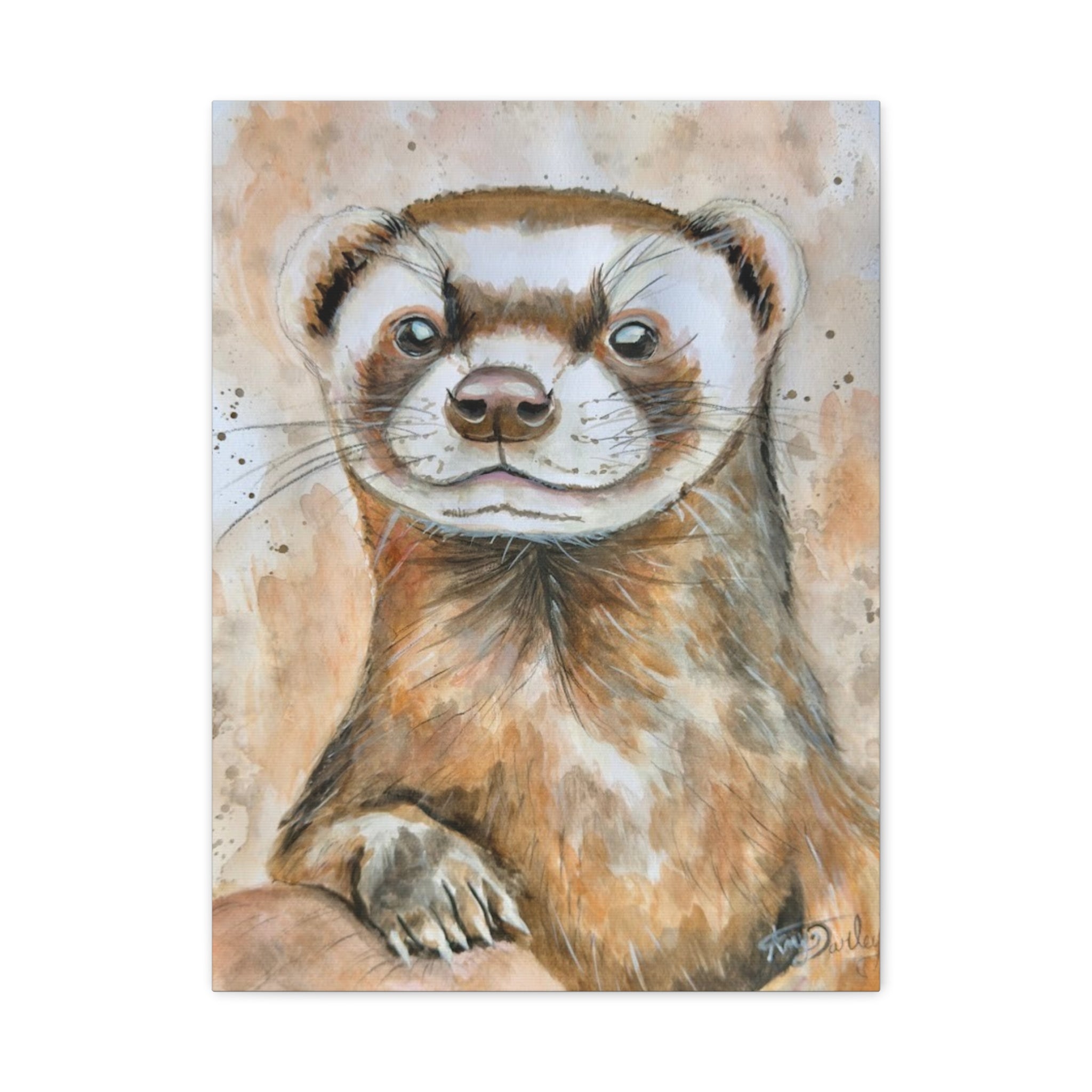 The Ferret | Canvas Print