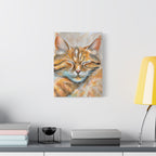 The Sleepy Cat | Canvas Print