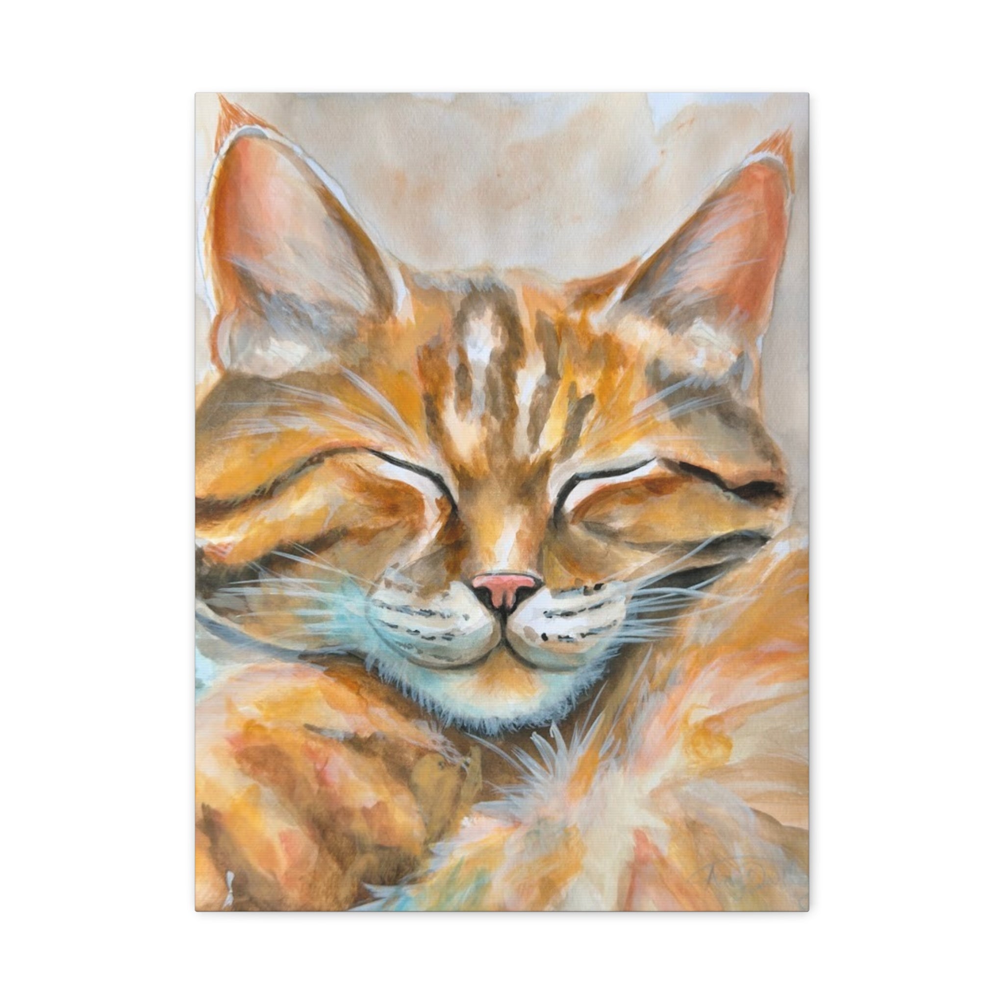The Sleepy Cat | Canvas Print