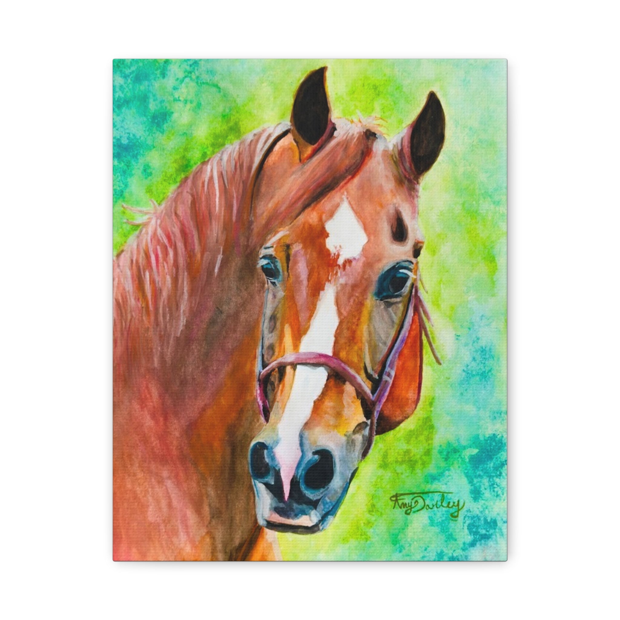 Chestnut Horse | Canvas Print