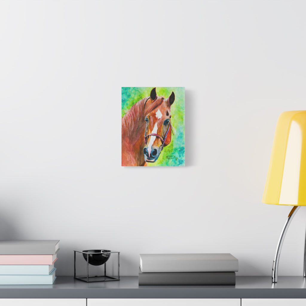 Chestnut Horse | Canvas Print