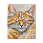 The Sleepy Cat | Canvas Print