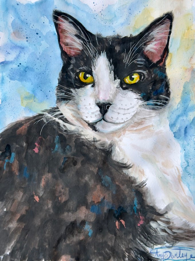 Moose the Tuxedo Cat