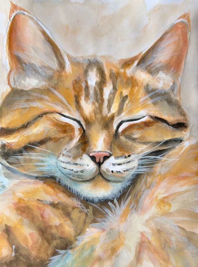 The Sleepy Cat