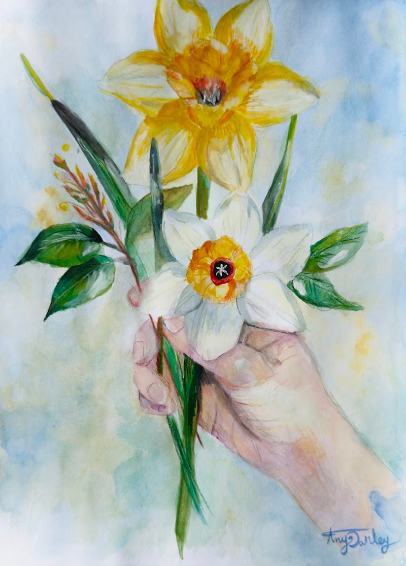 Daffodils