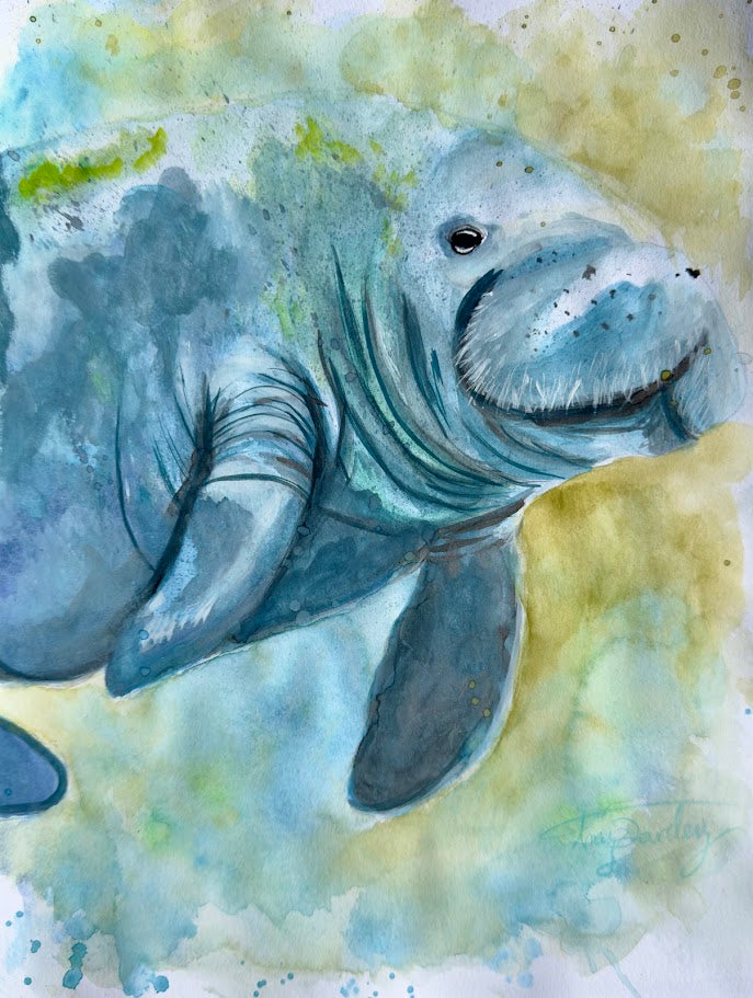 The Manatee